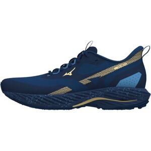 Mizuno WAVE RIDER TT 2 Pánská běžecká obuv, modrá, velikost 44.5